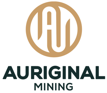 TSXV: AUME logo