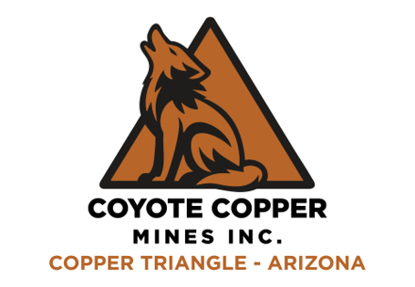 TSXV: CCMM logo